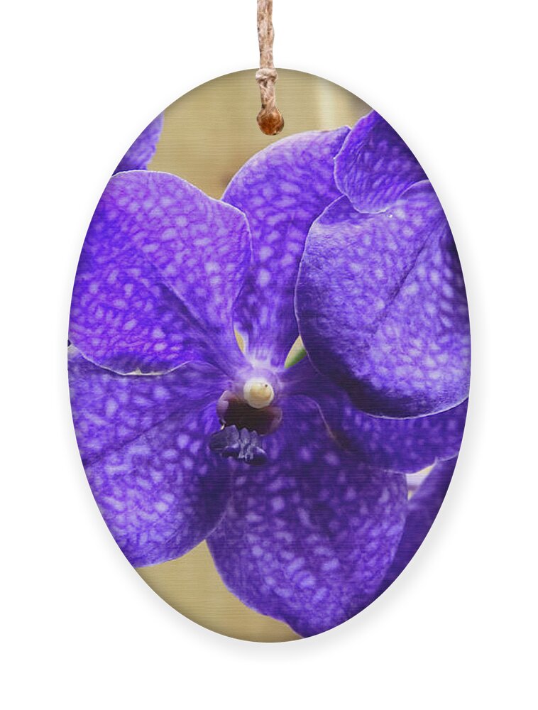 China Ornament featuring the photograph Vanda Orchid II by Tanya Owens