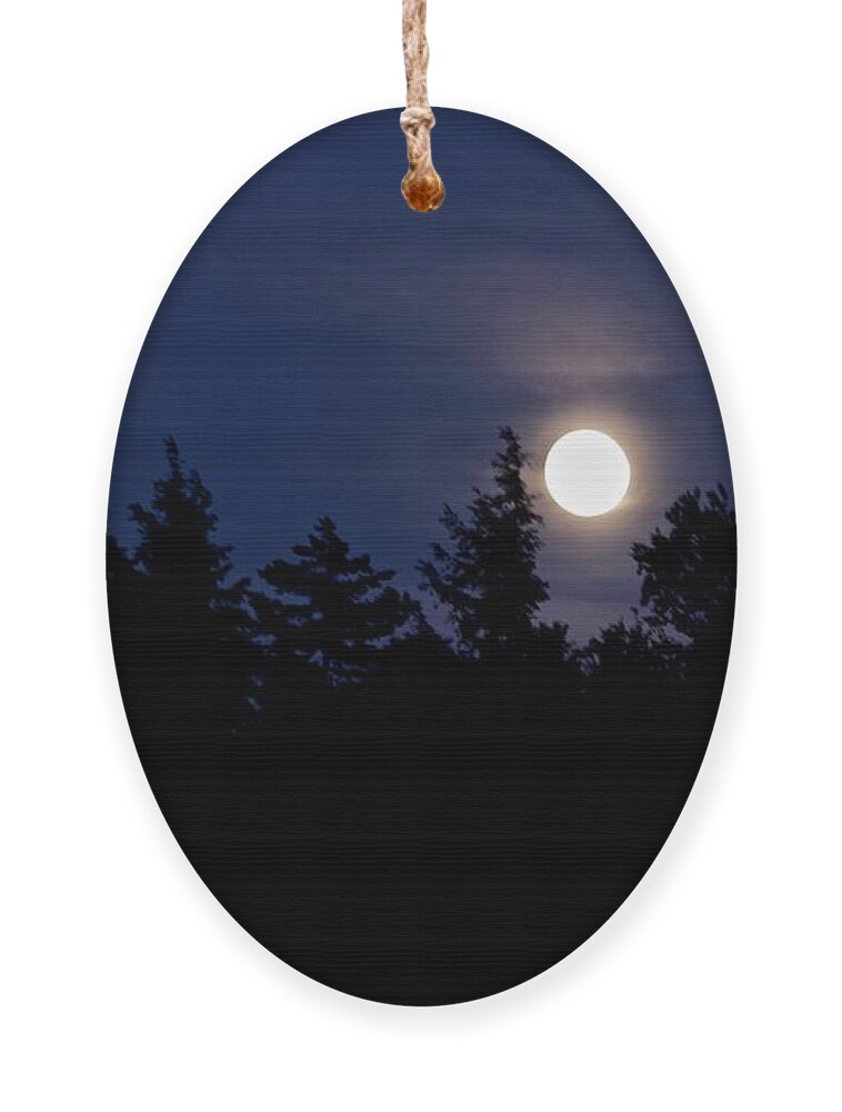 Greenwood Lake Ornament featuring the photograph Vermont Full Moon by Ann E Robson
