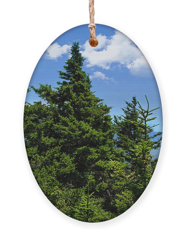Pine Ornament featuring the photograph View from Grandfather Mountain by Shelia Hunt
