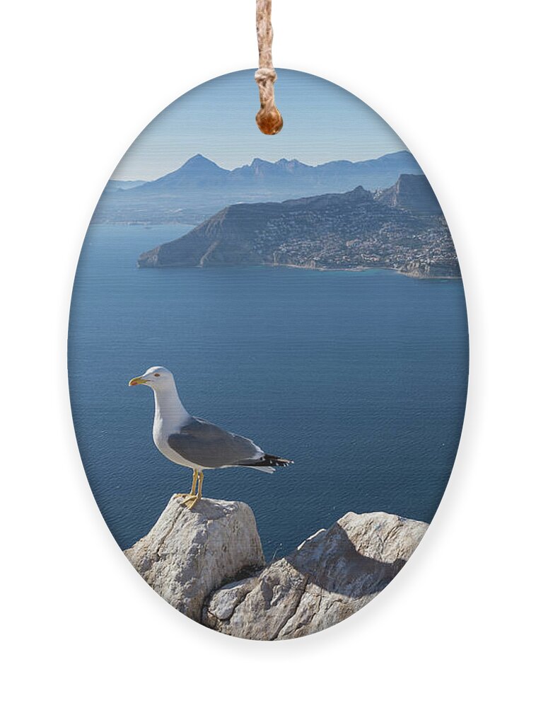 Seagull Ornament featuring the photograph View towards the mountains of the Mediterranean coast by Adriana Mueller