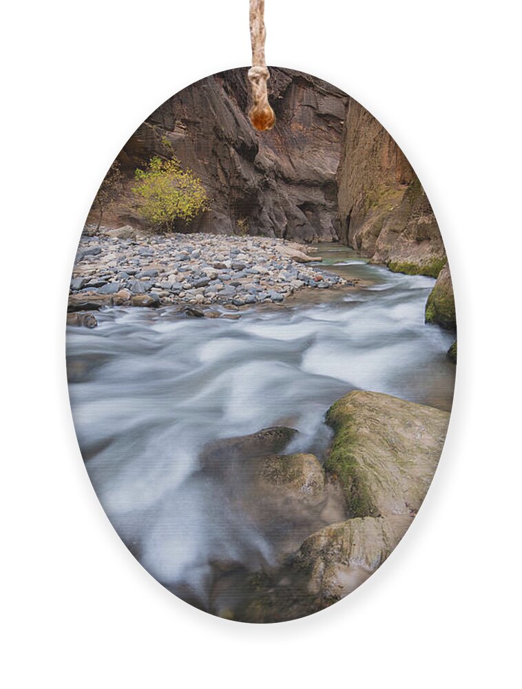 Zion Ornament featuring the photograph Virgin River Narrows by Wesley Aston