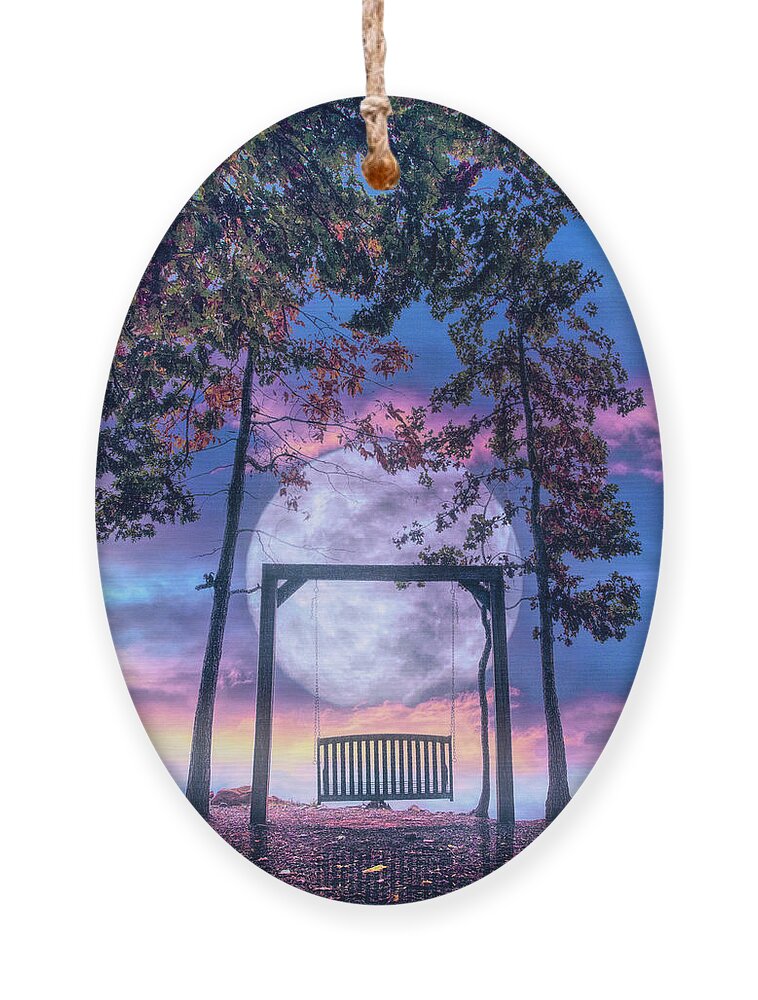 Carolina Ornament featuring the photograph Waiting for You in the Moonlight at Nightfall by Debra and Dave Vanderlaan