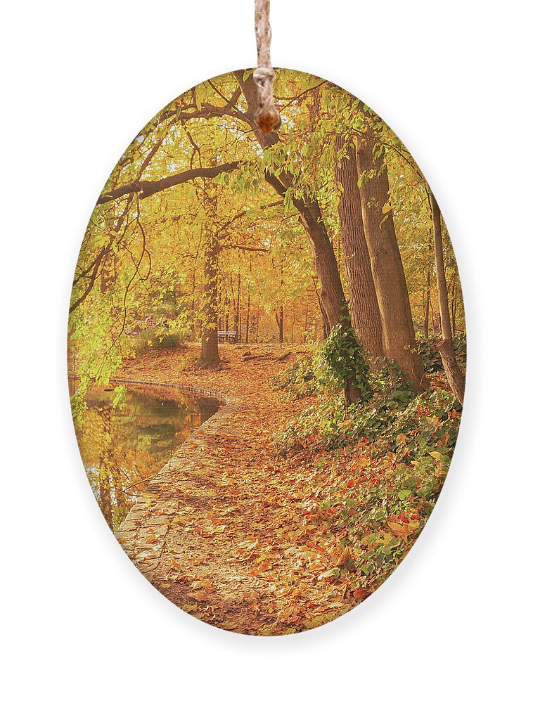 Fall Ornament featuring the photograph Walk through Fall in Brooklyn, NY by Auden Johnson