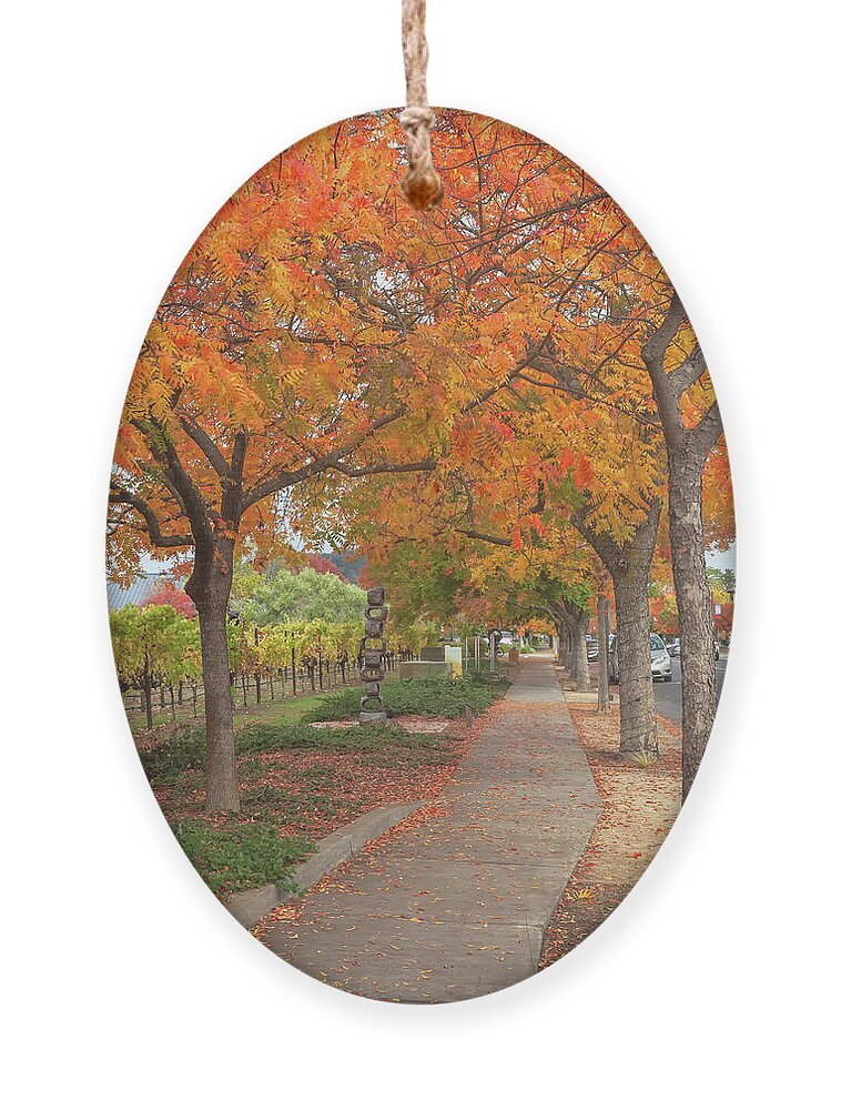 Chinese Pistache Ornament featuring the photograph Walking Under The Red Trees by Jonathan Nguyen