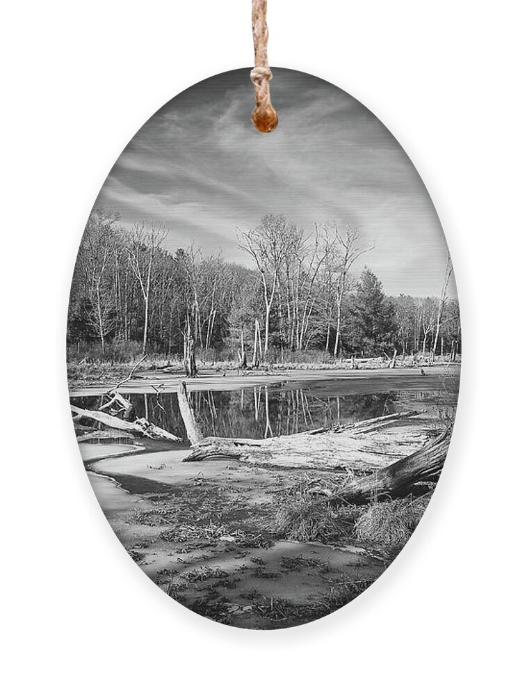 Marsh Ornament featuring the photograph Ward Reservation Melt by Steven Nelson