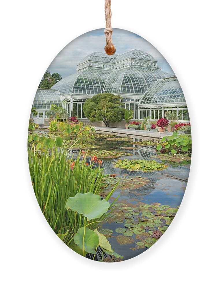 Lily Ornament featuring the photograph Water Lily and Lotus Pond by Cate Franklyn