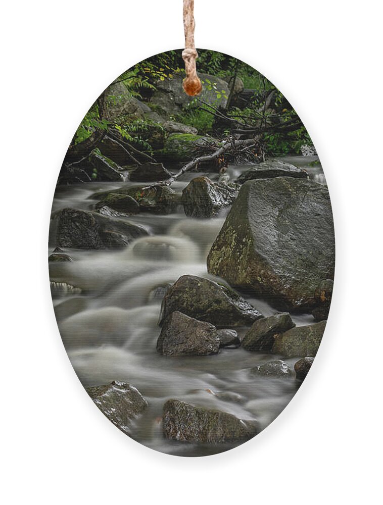 Waterfall Ornament featuring the photograph Waterfall in the WOods by Regina Muscarella