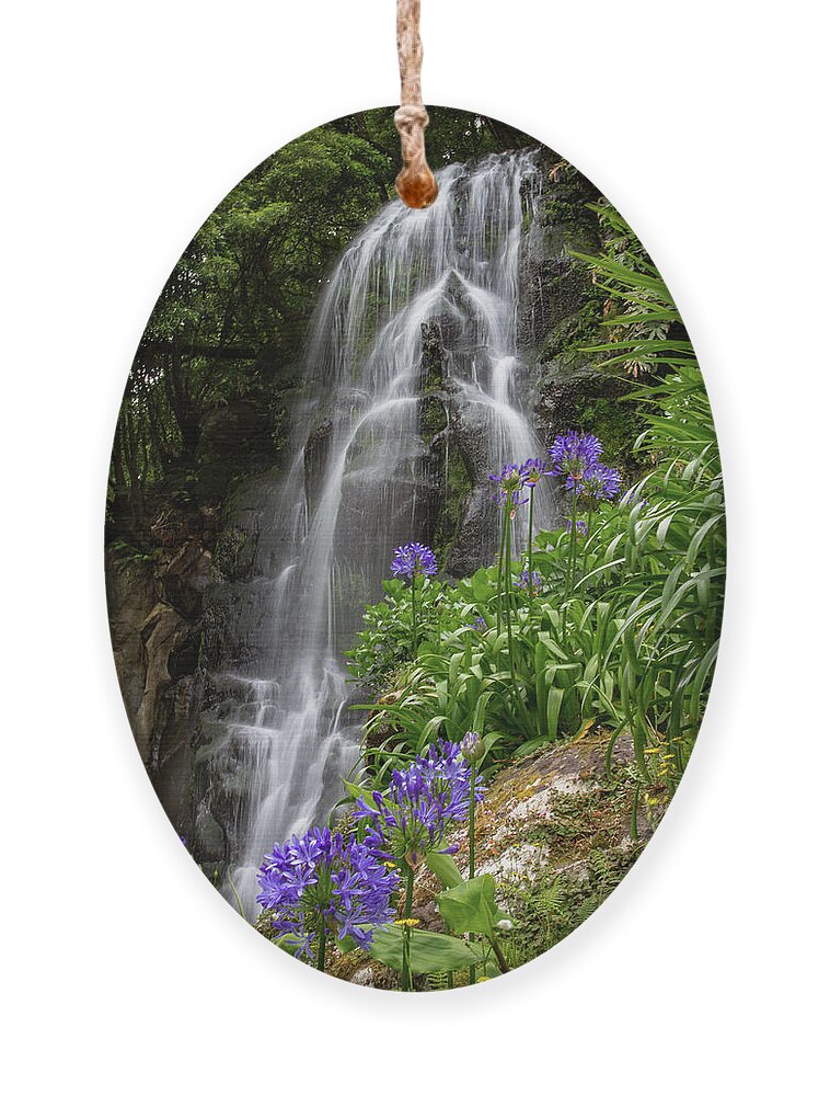 Nordeste Ornament featuring the photograph Waterfall with Flowers by Denise Kopko
