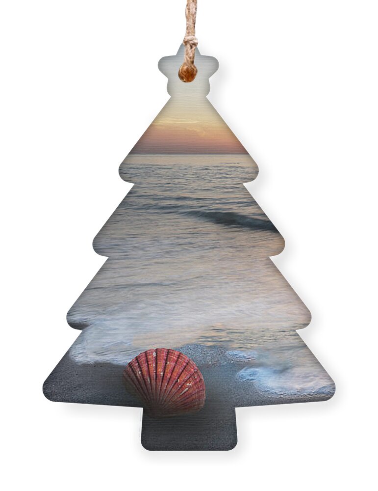 Clouds Ornament featuring the photograph Waves and Shells by Debra and Dave Vanderlaan