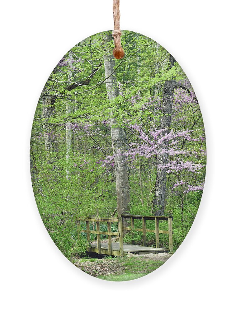 Trees Ornament featuring the photograph Welcome to Spring in the Forest by Roberta Byram