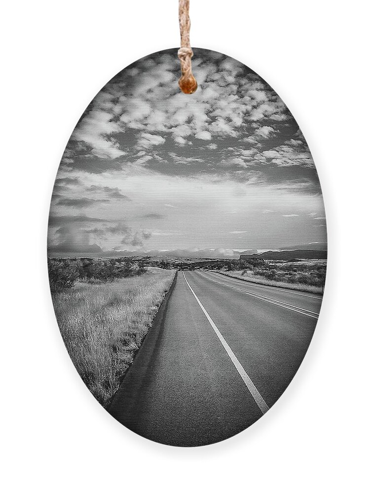 Oldwest Ornament featuring the photograph West Texas in BW by Pam Rendall