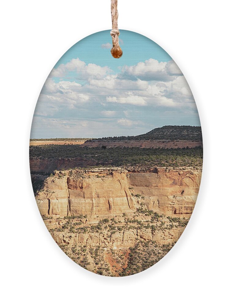 Western Ornament featuring the photograph Western Colorado by Ana V Ramirez