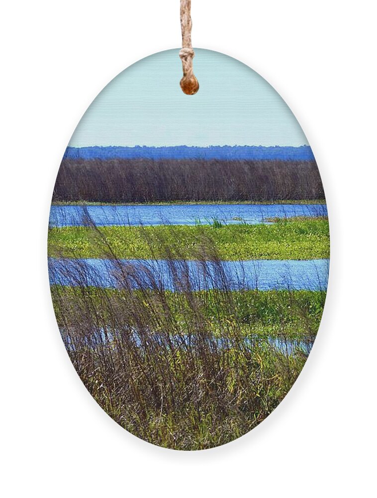 Wetland Distance And Color Ornament featuring the photograph Wetland Distance and Color by Warren Thompson
