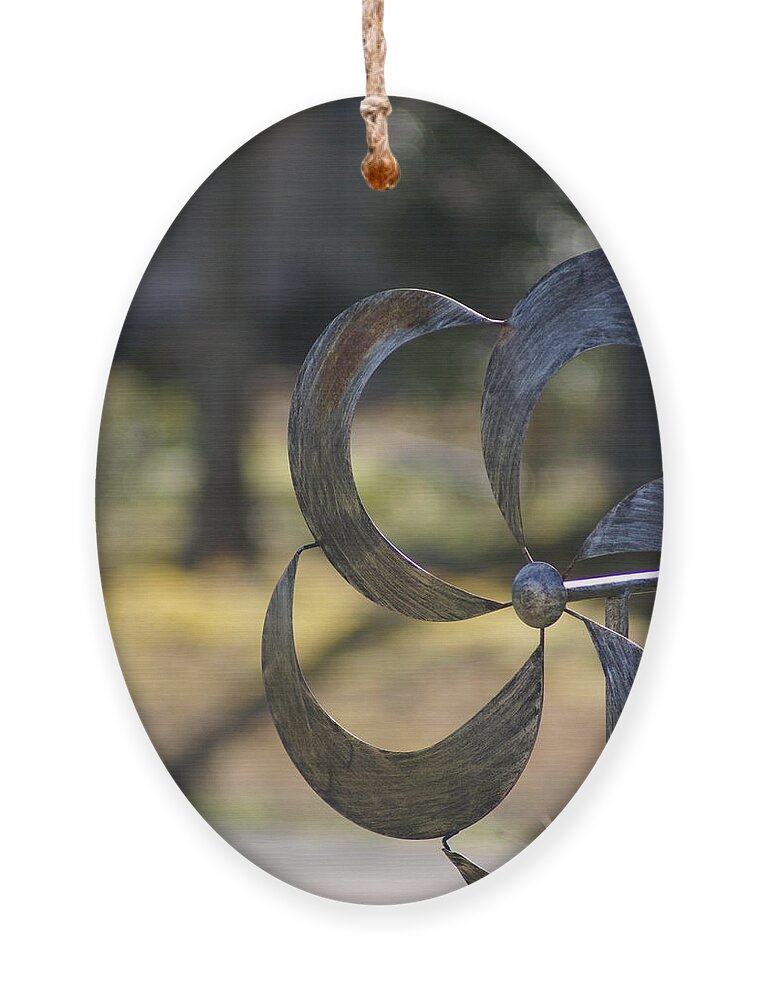  Ornament featuring the photograph Whirligig by Heather E Harman