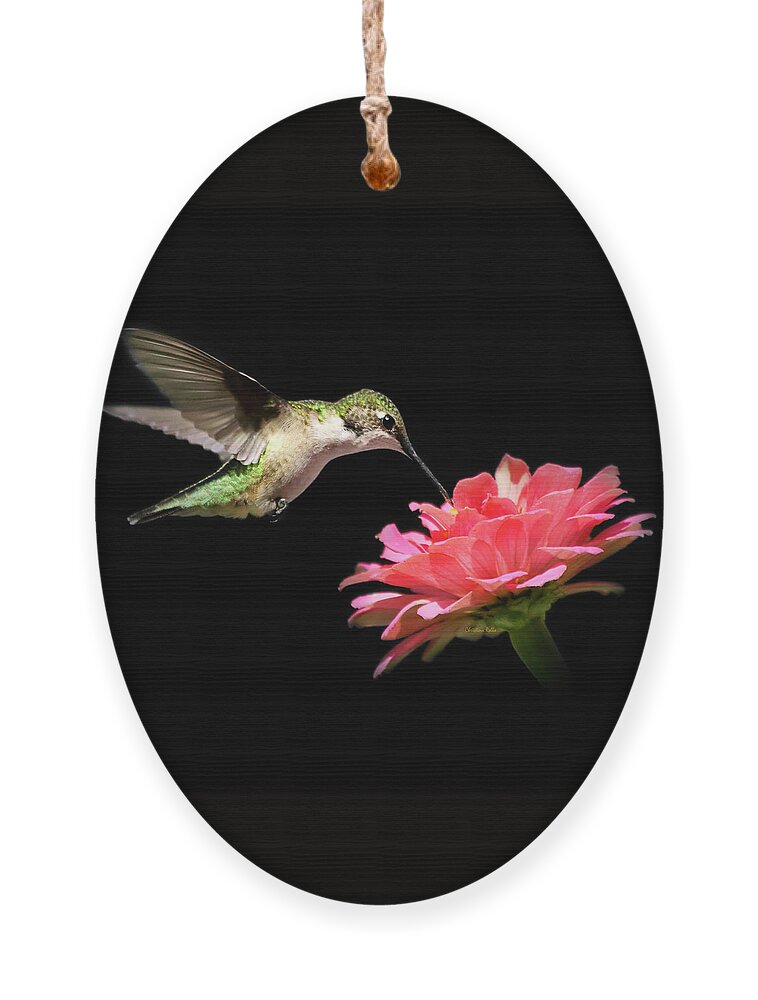 Hummingbirds Ornament featuring the photograph Whispering Hummingbird Square by Christina Rollo