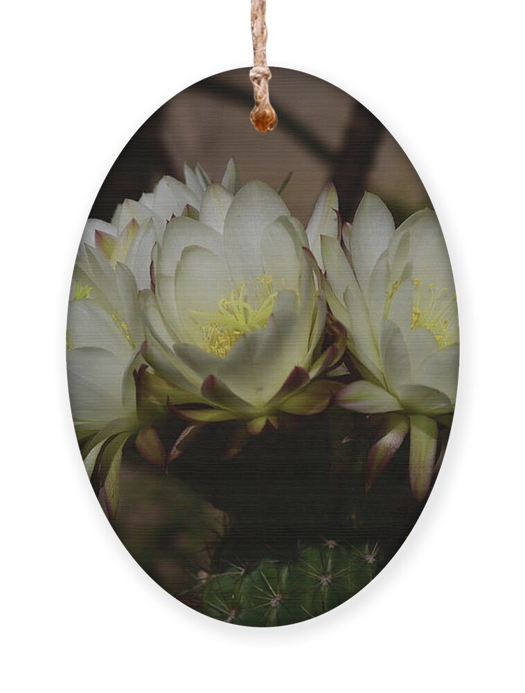 Flowers Ornament featuring the digital art White Beauty by Yenni Harrison