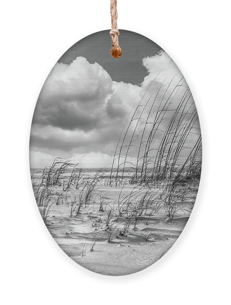 Clouds Ornament featuring the photograph White Clouds over White Sands in Black and White by Debra and Dave Vanderlaan