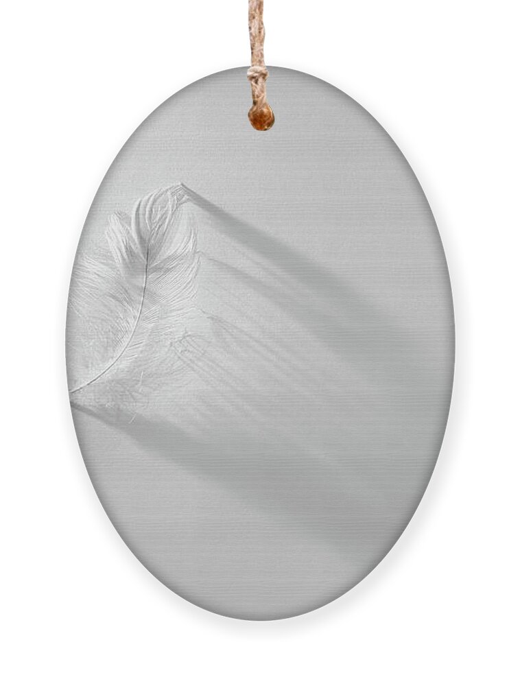 Feather Ornament featuring the photograph White Feather by Scott Norris