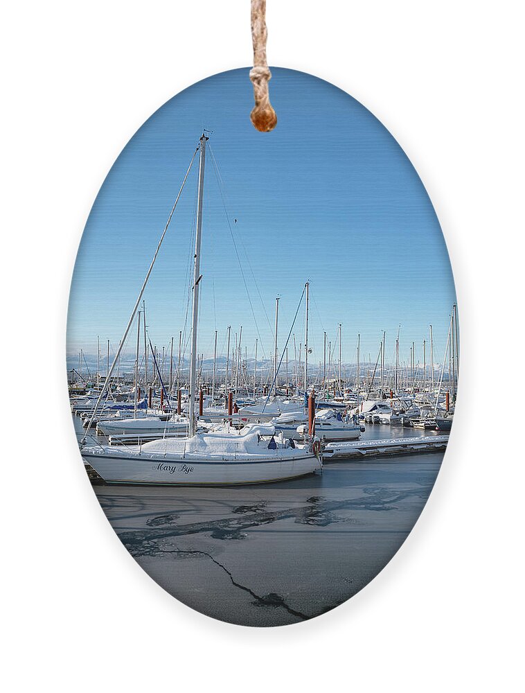 Marine Ornament featuring the photograph White marina by Canadart -
