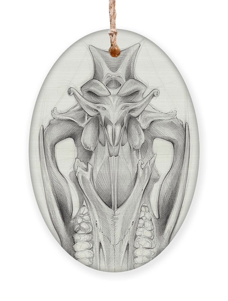 Wild Boar Ornament featuring the drawing Wild boar skull and the cycle of life 2 by Adriana Mueller