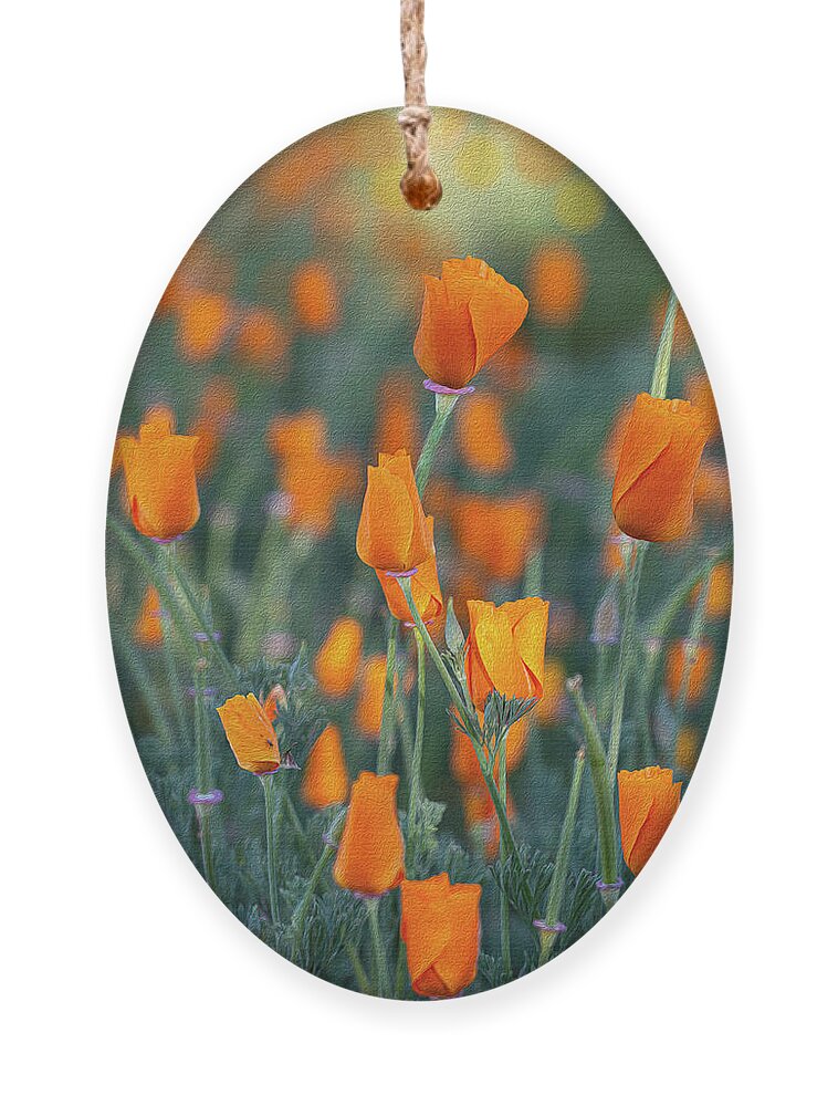 Poppies Ornament featuring the photograph Wild California Poppies by Vanessa Thomas
