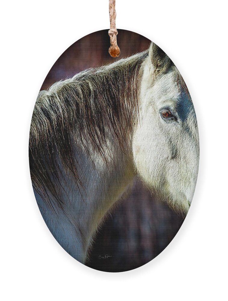 Horse Ornament featuring the photograph Wild Horse No. 1 by Craig J Satterlee