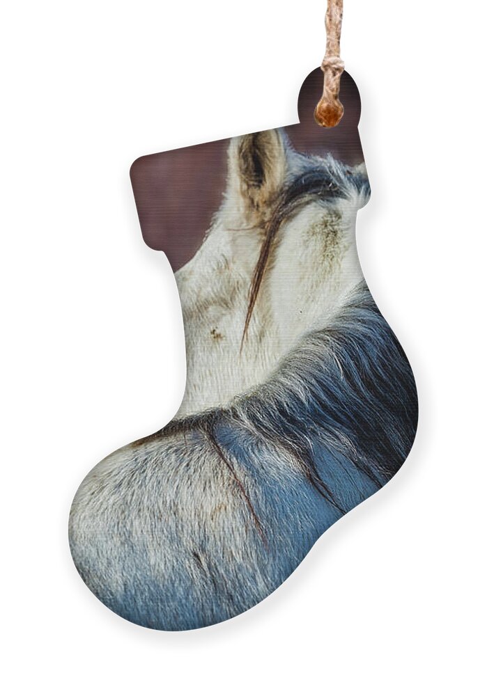 Wild Ornament featuring the photograph Wild Horse No. 3 by Craig J Satterlee