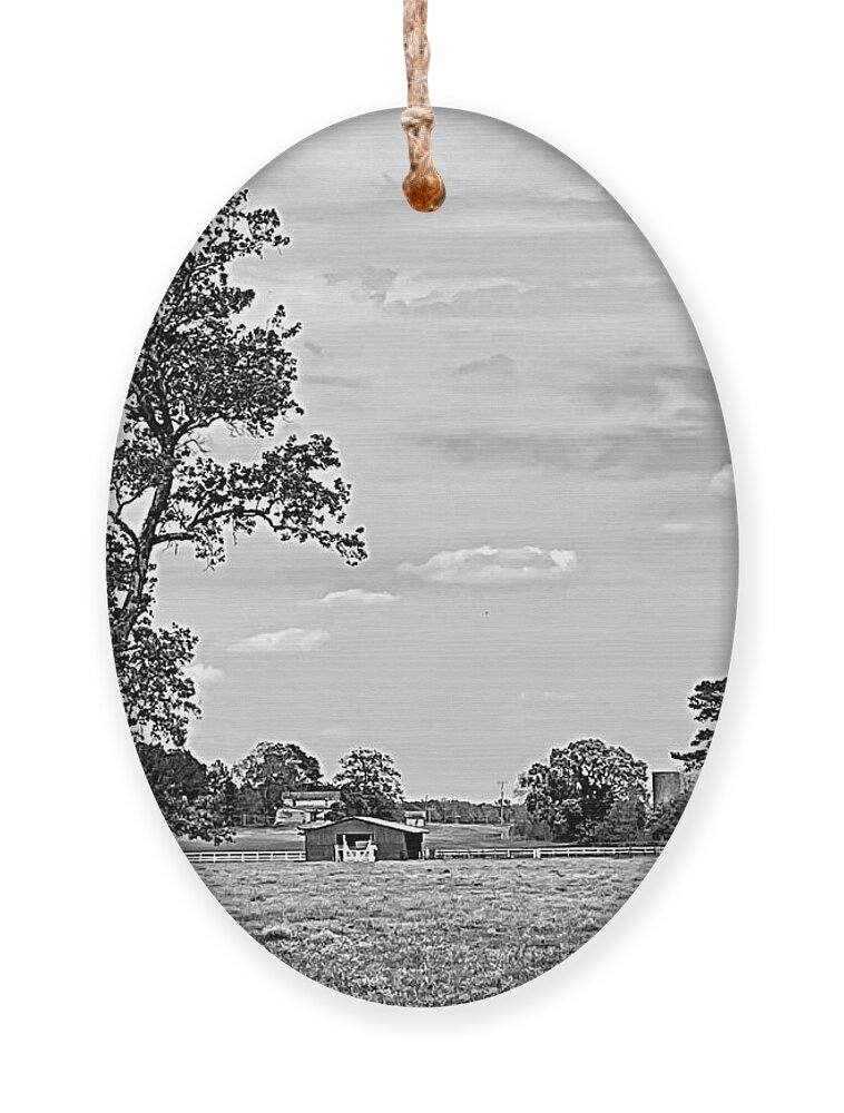 Wildflower Ornament featuring the photograph Wildflower Field BW by Lee Darnell