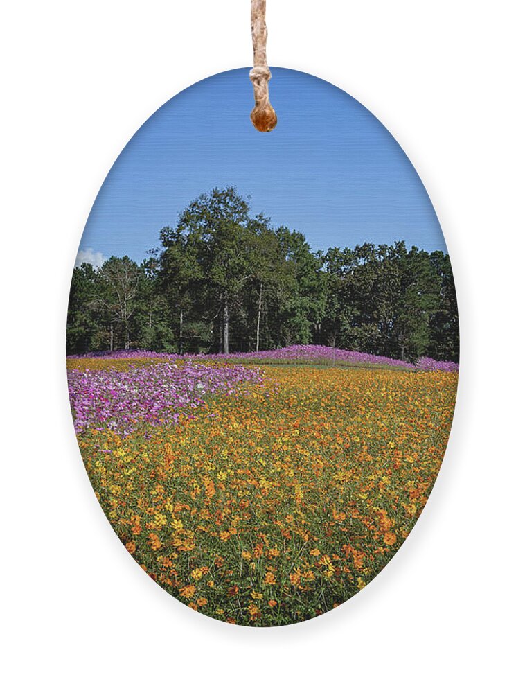 Georgia Ornament featuring the photograph Wildflower Field by Cindy Robinson