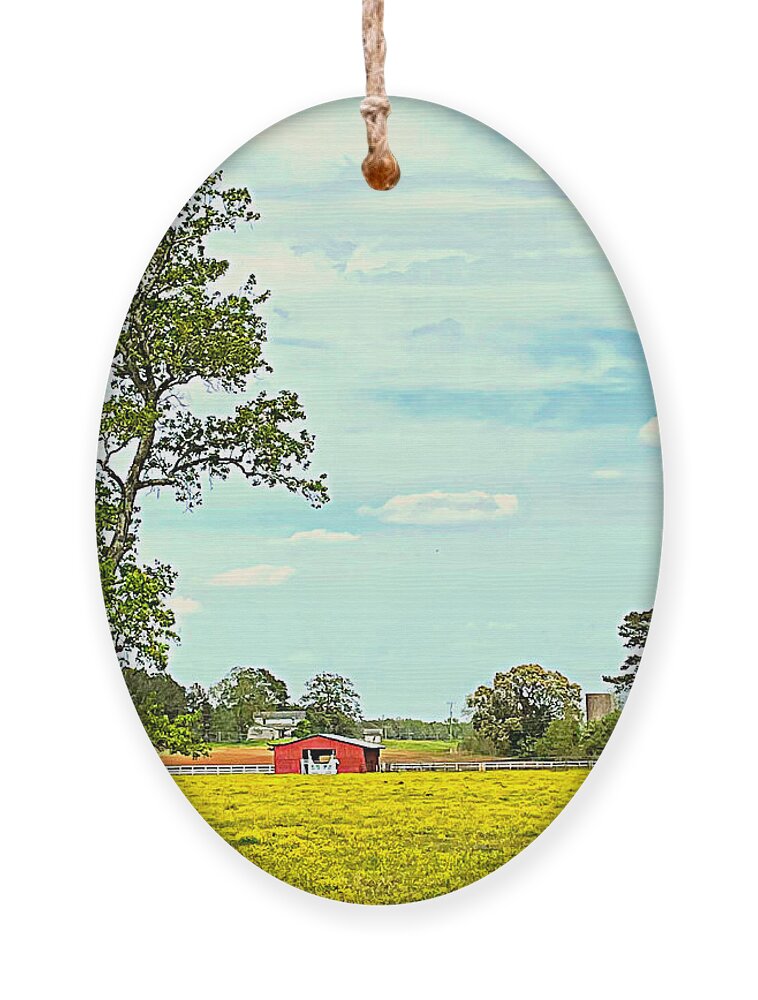 Wildflower Ornament featuring the photograph Wildflower Field by Lee Darnell
