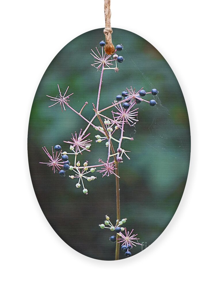 Flora Ornament featuring the photograph Tiny Wildflowers Up Close by Ellen Cotton