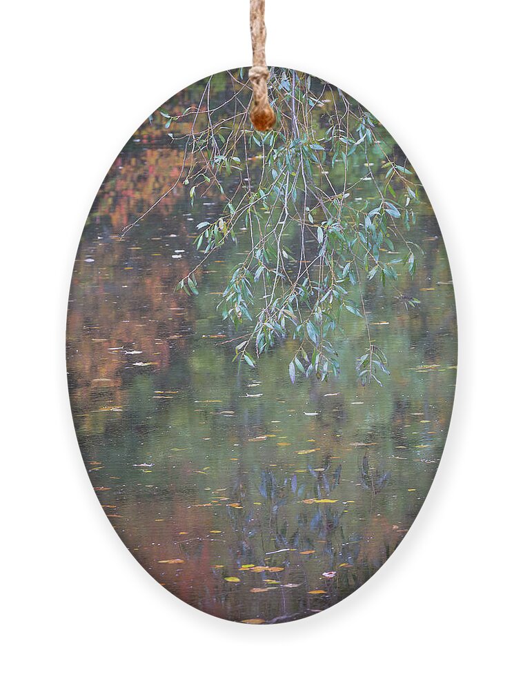 Willow Tree Ornament featuring the photograph Willow leaves and reflections on a river in Autumn by Anita Nicholson