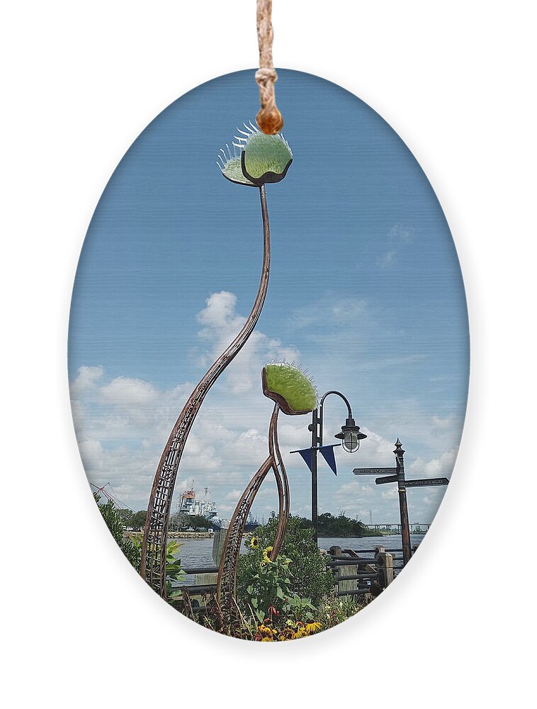 Metal Ornament featuring the photograph Wilmington Flytraps by Heather E Harman