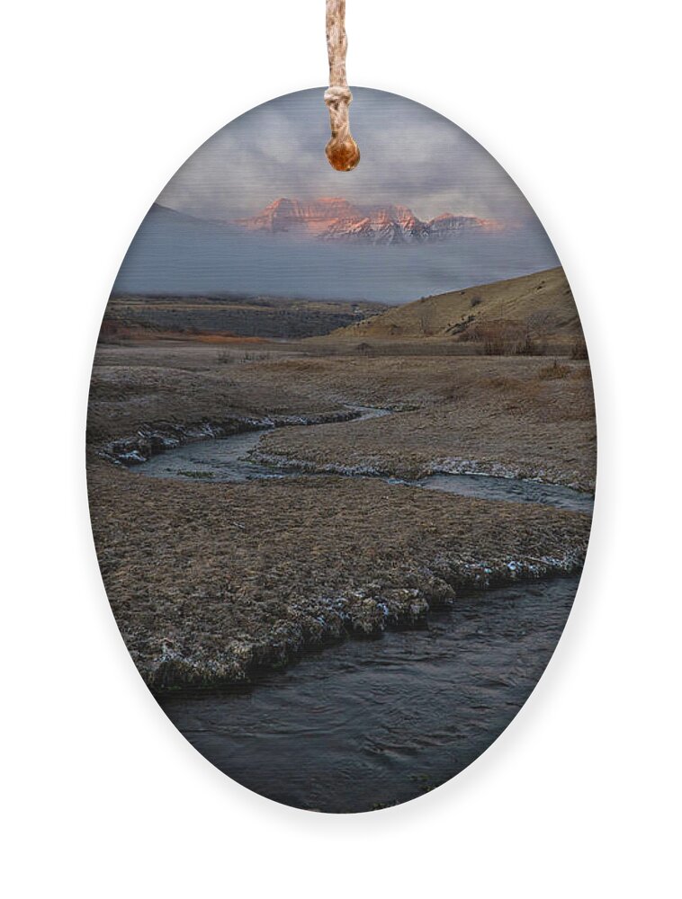 Utah Ornament featuring the photograph Winding Stream by Wesley Aston