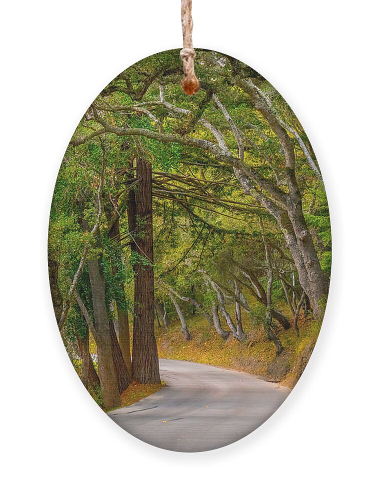 Road Ornament featuring the photograph Winding Through The Woods by Derek Dean