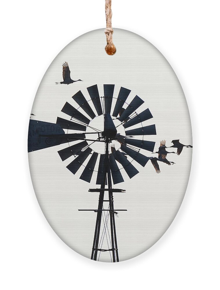 Sandhill Cranes Ornament featuring the photograph Windmills and Sandhill Cranes by Susan Rissi Tregoning
