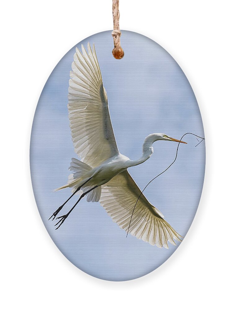 Great Egret Ornament featuring the photograph Wingspan by Rose Guinther