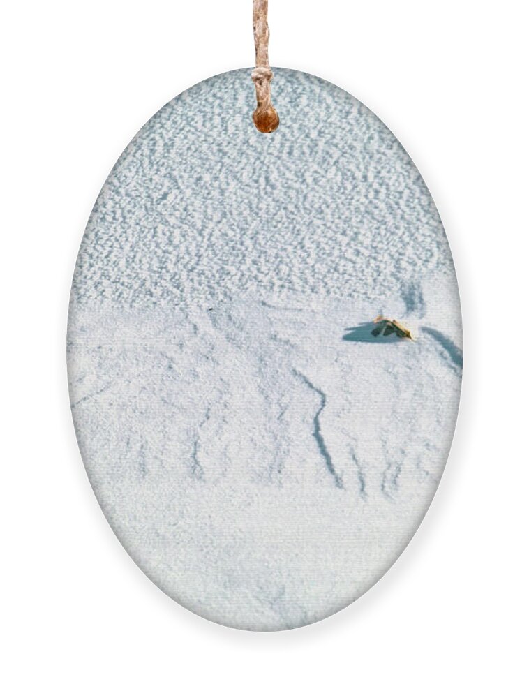 Snow Ornament featuring the photograph Winter Abstract III by Theresa Fairchild