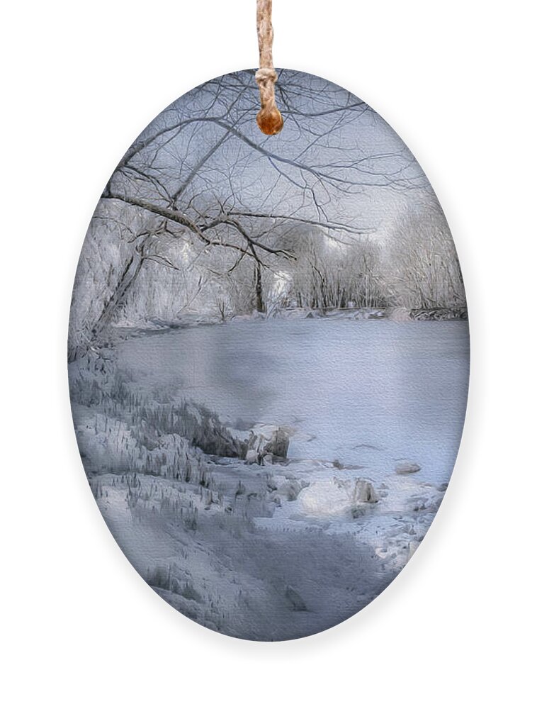 Snow Ornament featuring the photograph Winter Blues on Ice by Shelia Hunt