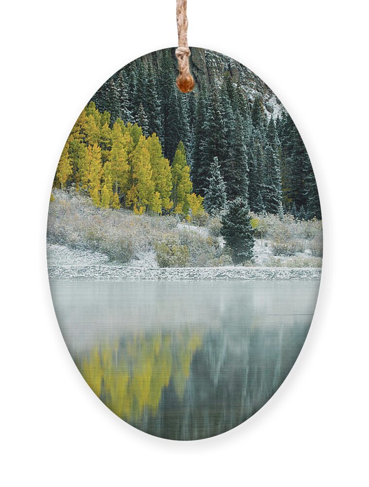 Winter Ornament featuring the photograph Winter Fresh Fall by Wesley Aston
