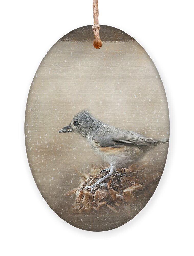 Backyard Birds Ornament featuring the photograph Winter Gathering by Jai Johnson