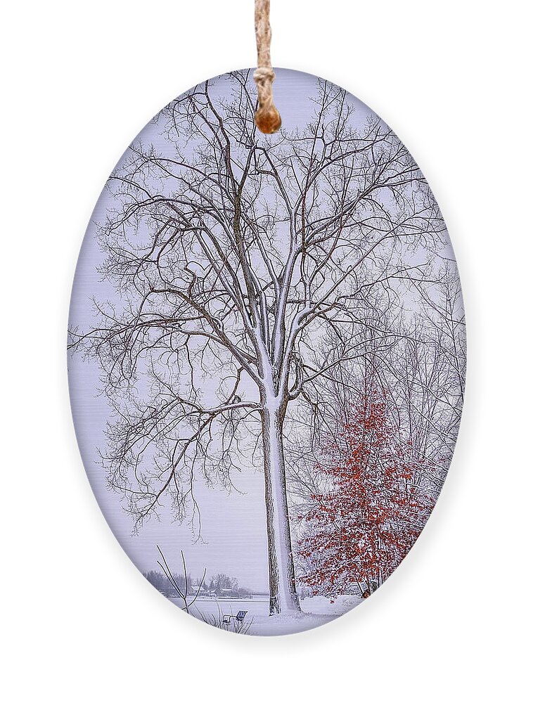 White Ornament featuring the photograph Winter, i don't wanna a lose red by Carl Marceau