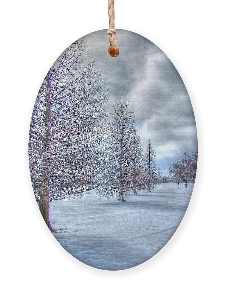 Fine Art Ornament featuring the photograph Winter II by Robert Harris