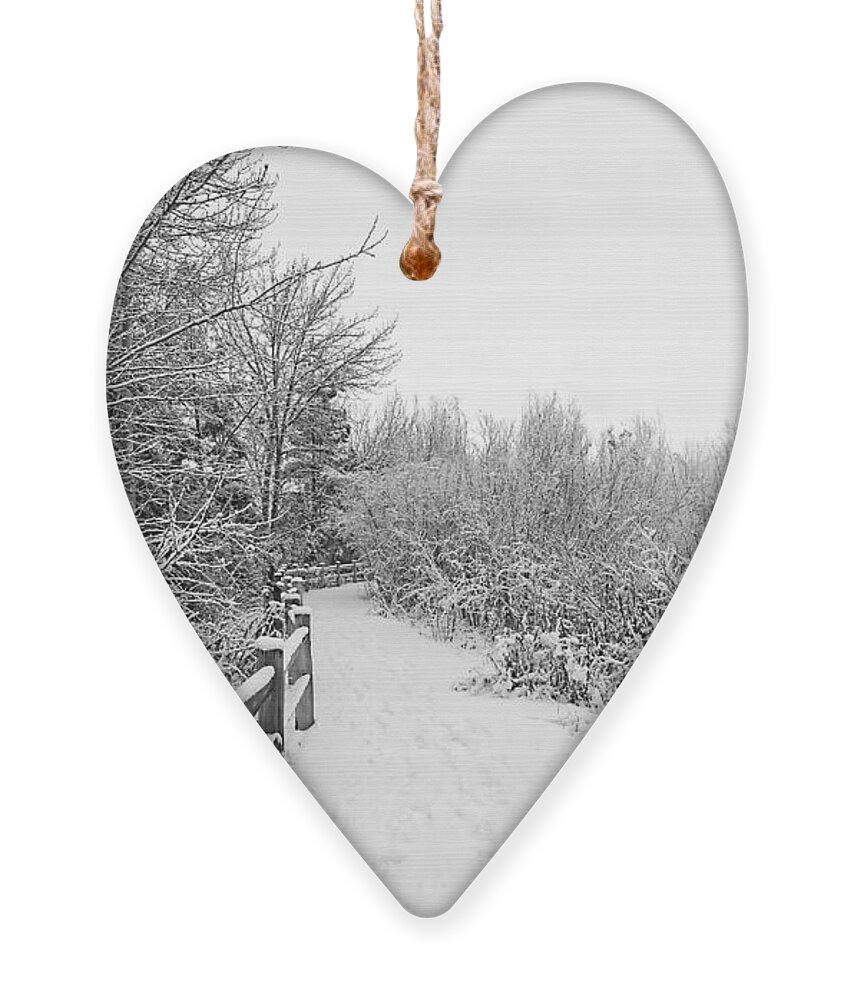 Icy Ornament featuring the photograph Winter Path by Dart Humeston