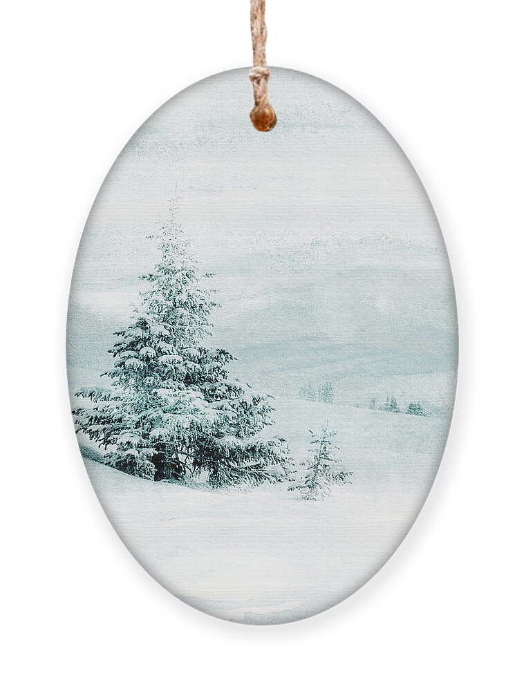 Trees Ornament featuring the mixed media Winter Solitude 2 by Colleen Taylor