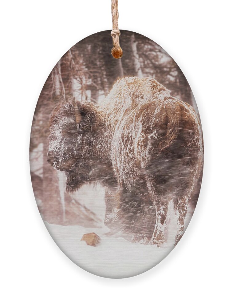 Buffalo Ornament featuring the photograph Winter Storm Buffalo by Craig J Satterlee