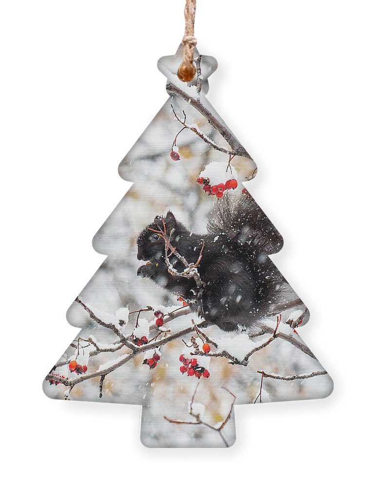 Squrriel Ornament featuring the photograph Winter Treats by Charline Xia