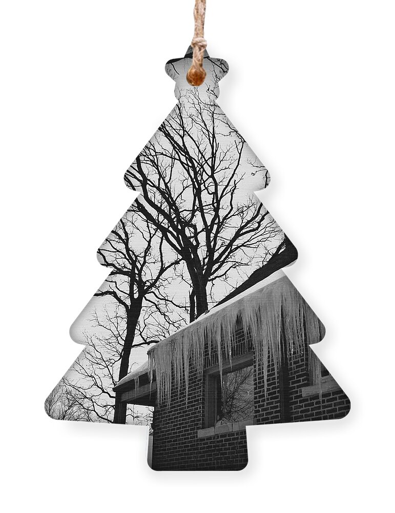 Documentary Ornament featuring the photograph Winter Trees and Icicles - Square - Frank J Casella by Frank J Casella