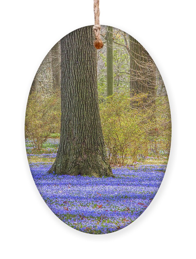 Chinodoxa Ornament featuring the photograph Winterthur March Bank in April by Marilyn Cornwell