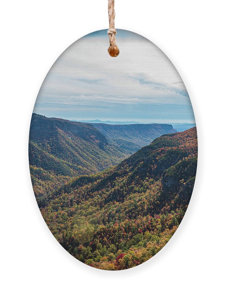 Brown Ornament featuring the photograph Wiseman's View by Cynthia Clark